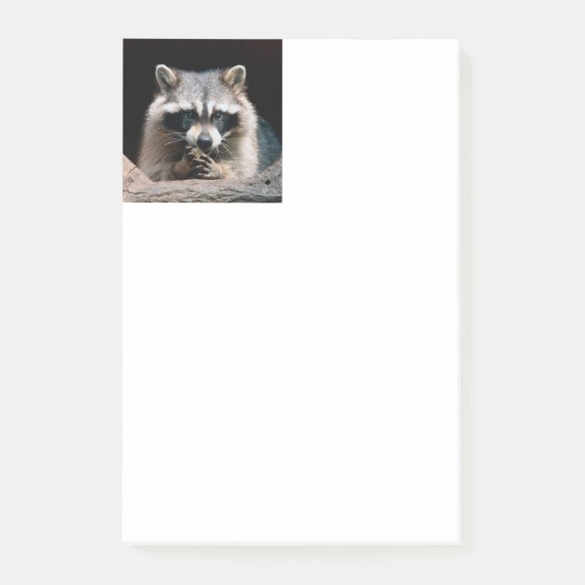 Notas Post-it® Raccoon 004 (Anverso)