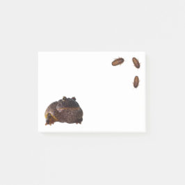 Notas Post-it® Rana