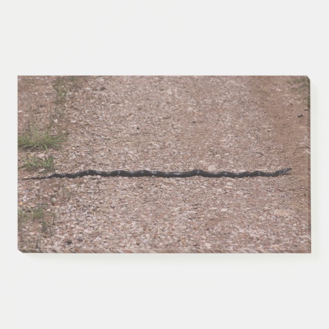 Notas Post-it® Rat Snake (Anverso)