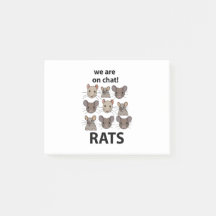 Rats Animal Estamos En Chat Rats Gratis