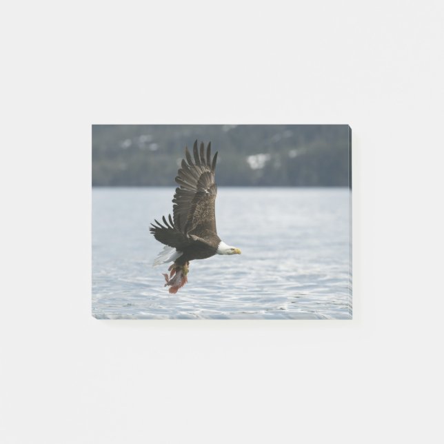 Notas Post-it® Recuperación de peces de águila calva (Anverso)