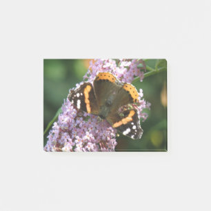 Notas Post-it® Red Admiral Mariposa y Buddleia Post anota