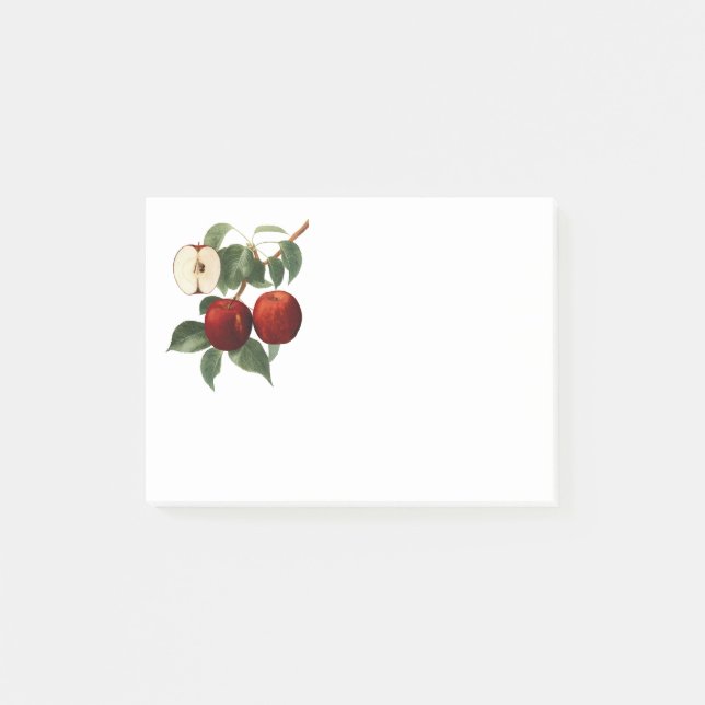 Notas Post-it® Red Apples Botanical Teacher Name 4x3 (Anverso)