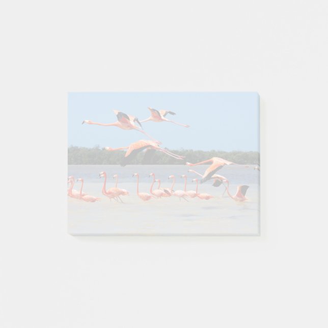 Notas Post-it® Reserva de la Biosfera Celestun (Anverso)