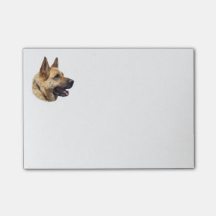 Notas Post-it® Retrato Alsatian del pastor alemán