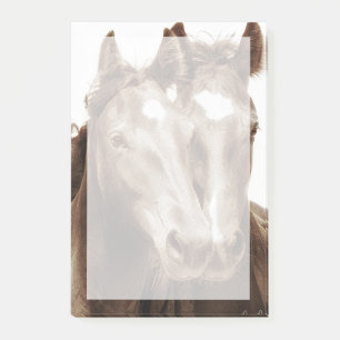 Notas Post-it® Retrato de caballo III