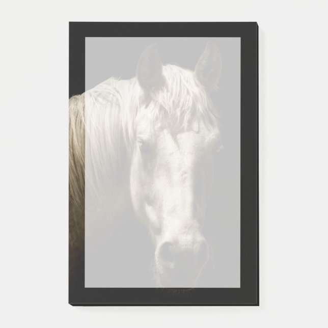Notas Post-it® Retrato de caballo VI (Anverso)