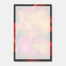 Retrato de Cattleya Orchid