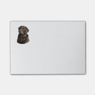 Notas Post-it® Retrato de la foto del perro de Labrador del