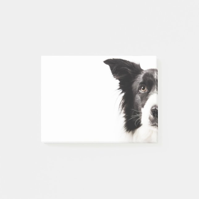 Notas Post-it® Retrato del border collie (Anverso)