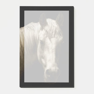 Notas Post-it® Retrato VI del caballo