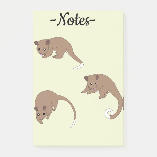 Notas Post-it® Ring Tail Possums (Anverso)