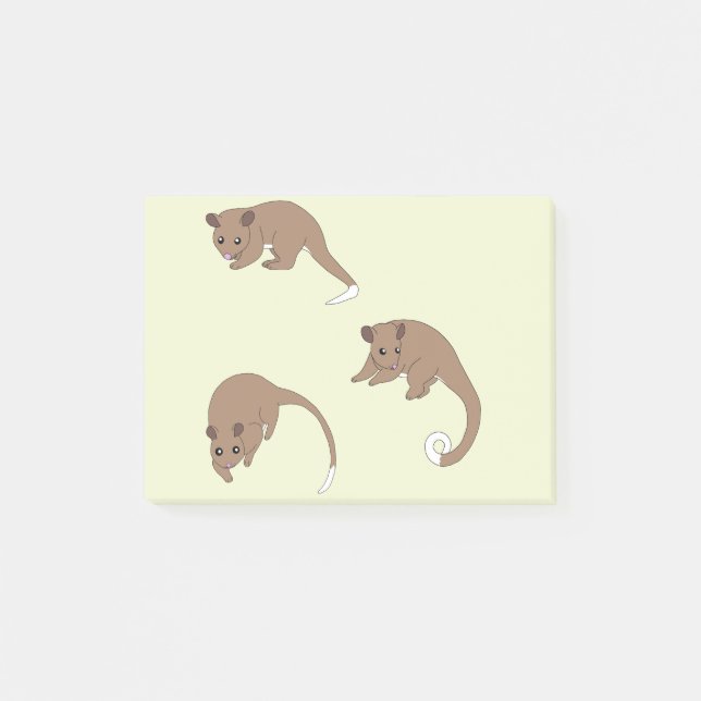 Notas Post-it® Ring Tail Possums (Anverso)