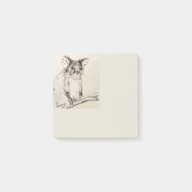 Notas Post-it® Ringtail Possum Australia (Anverso)