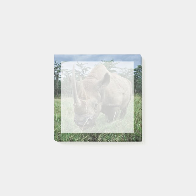 Notas Post-it® Rinocerontes negros | Kenia (Anverso)