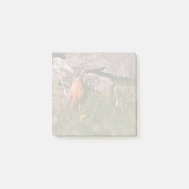 Notas Post-it® Robin estadounidense (Anverso)