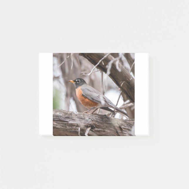 Notas Post-it® Robin in the trees (Anverso)