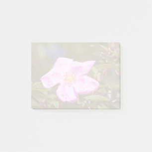 Notas Post-it® Rosa Briar