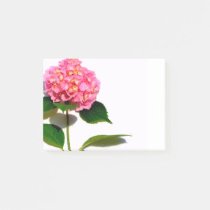 Notas Post-it® Rosa Hydrangea flor rosa rosa floral rosa