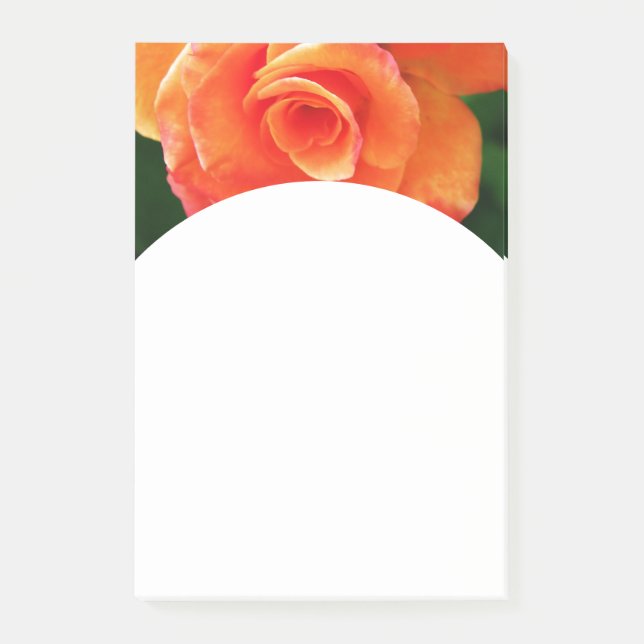 Notas Post-it® Rosa naranja  (Anverso)