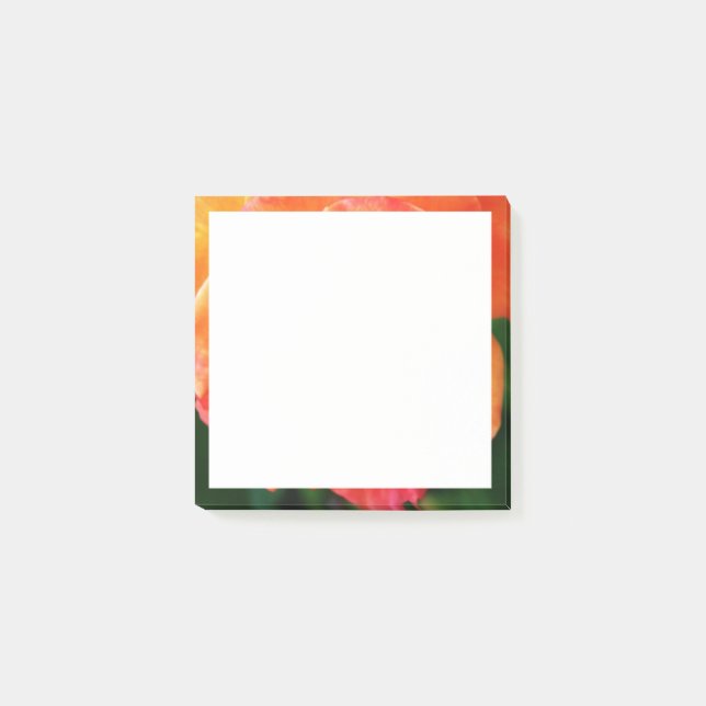 Notas Post-it® Rosa naranja  (Anverso)