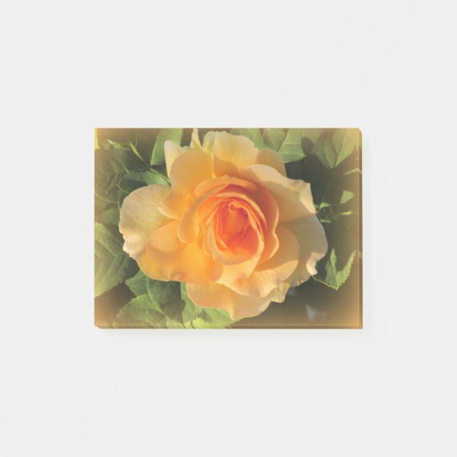 Notas Post-it® Rosa Perfume de Miel (Anverso)