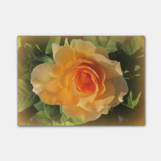 Notas Post-it® Rosa Perfume de Miel
