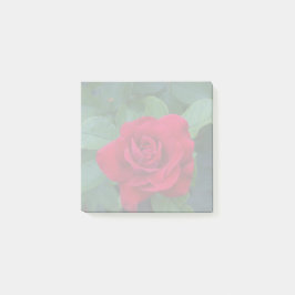 Notas Post-it® Rosa Roja de Cerca