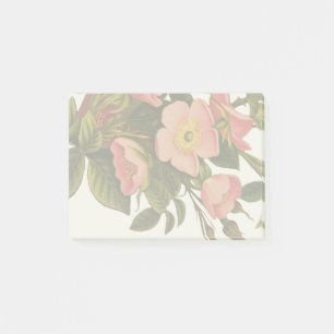 Notas Post-it® Rosas de época bello botánico rosado