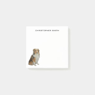 Notas Post-it® Rough Collie Dog
