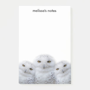 Notas Post-it® Sabiduría soñadora de la familia de las lechuzas n
