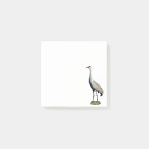 Notas Post-it® Sandhill Crane Photo Post-it Notes