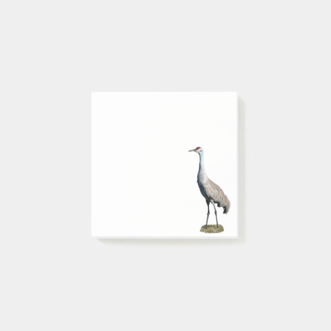 Notas Post-it® Sandhill Crane Photo Post-it Notes (Anverso)