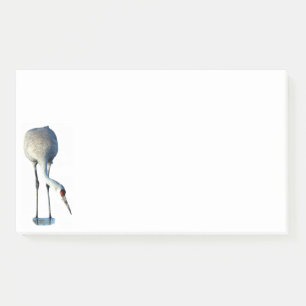 Notas Post-it® Sandhill Crane Photo Stationery 10x6 Notes