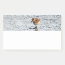 Notas Post-it® Sandpiper Bird Photo StationNote Pad