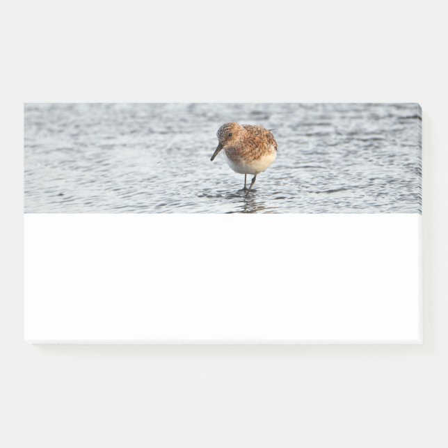 Notas Post-it® Sandpiper Bird Photo StationNote Pad (Anverso)