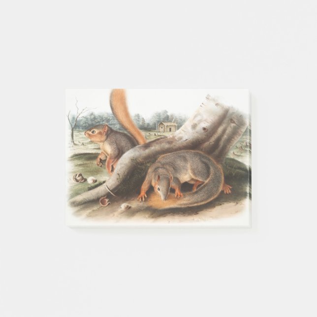 Notas Post-it® Say Squirrel Chica Boy Mascota Giftssquirrel alime (Anverso)