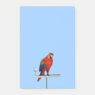 Notas Post-it® Scarlet Macaw