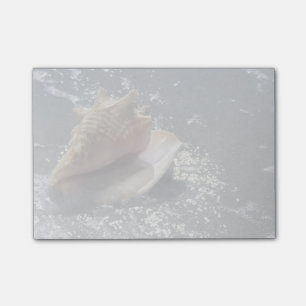 Notas Post-it® Seashell en la isla de la playa el Sanibel, la