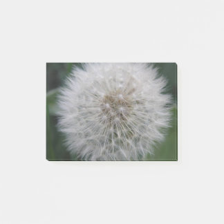 Notas Post-it® Seeding Dandelion Flower Post anota Pad