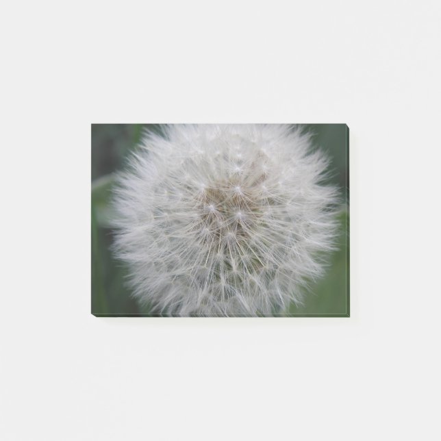Notas Post-it® Seeding Dandelion Flower Post anota Pad (Anverso)