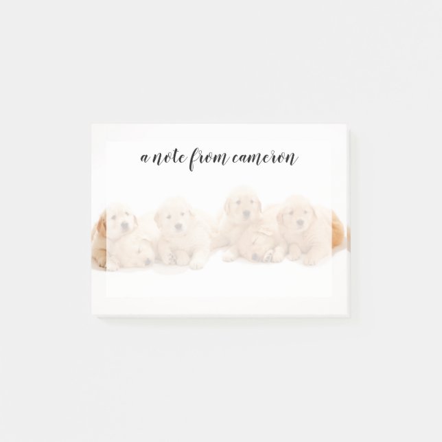 Notas Post-it® Seis cachorros de Golden Retriever (Anverso)