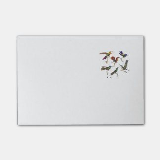 Notas Post-it® Seis colibríes coloridos