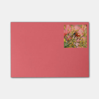 Notas Post-it® Señora Bug Notes