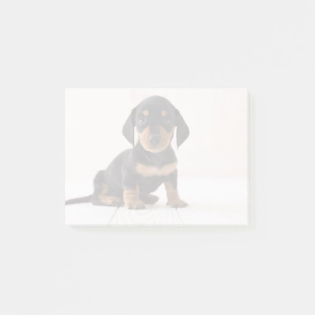 Notas Post-it® Sentada miniatura del Dachshund (Anverso)