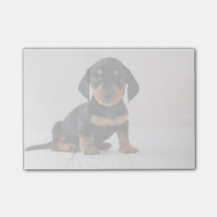 Notas Post-it® Sentada miniatura del Dachshund