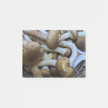 Setas de miel, Apiata, Armillaria, opyenok