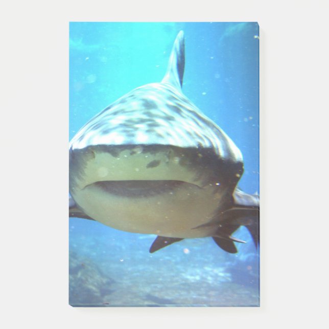 Notas Post-it® shark-5.jpg (Anverso)