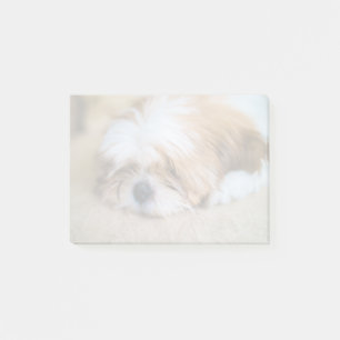 Notas Post-it® Shih Tzu