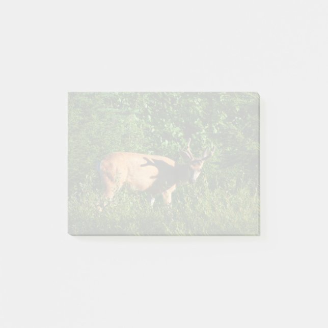 Notas Post-it® Siga su camino (Anverso)